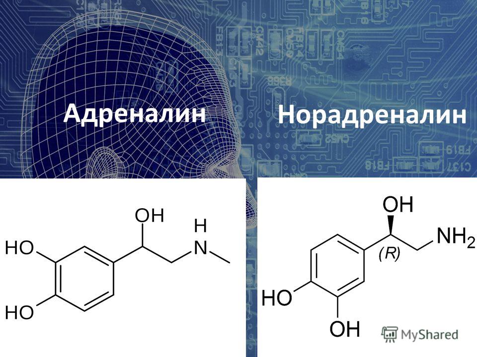 Адреналин и норадреналин